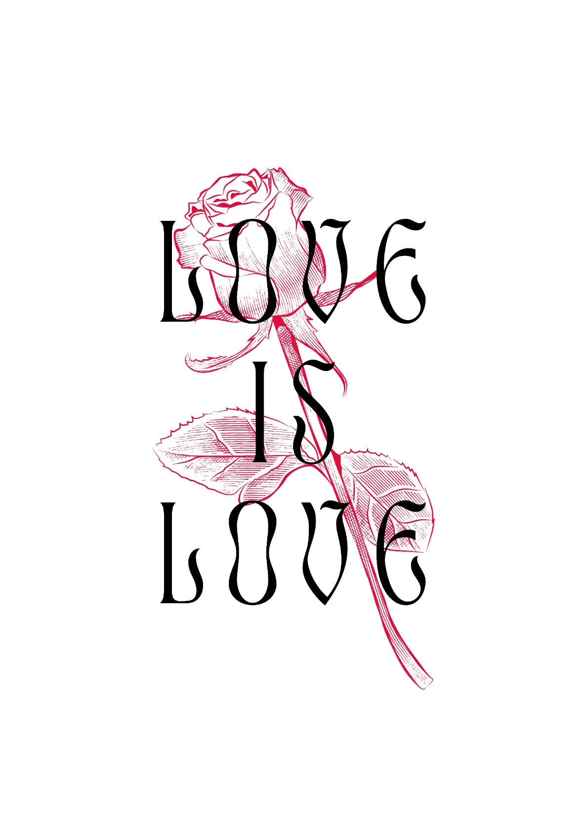 Love Is Love | Red Rose