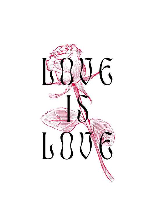 Love Is Love | Red Rose
