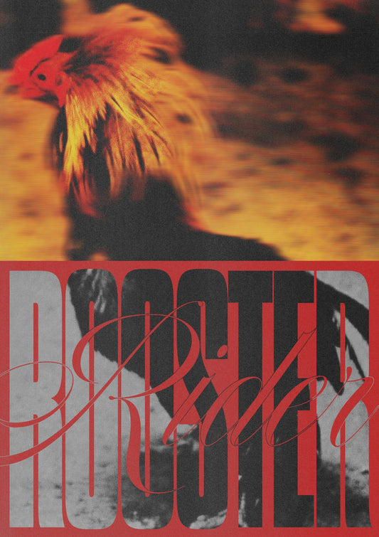 Rooster Rider
