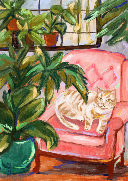Cat on a Pink Chair