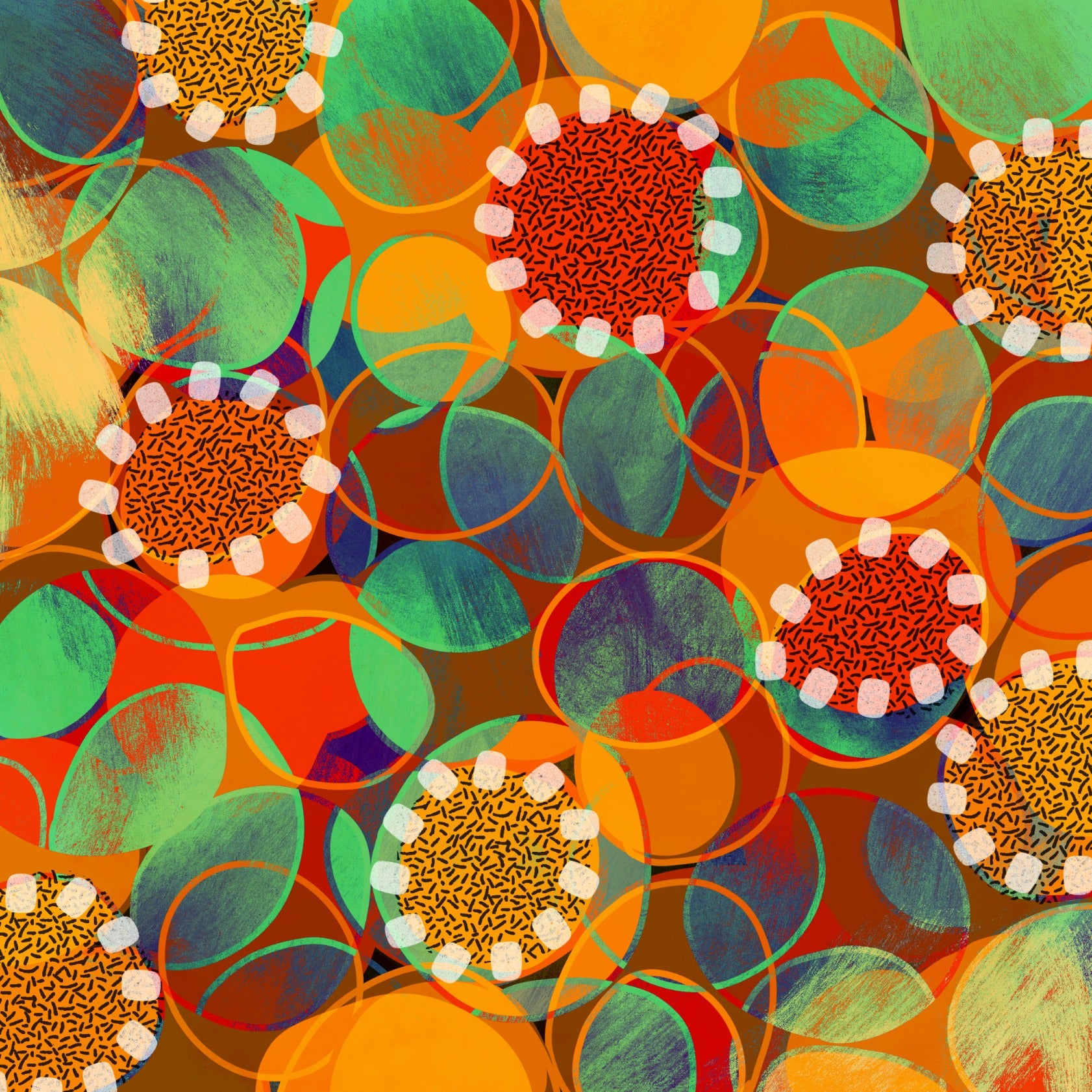 School Ground Wattle