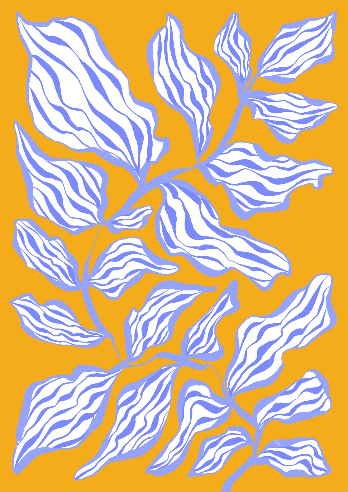 Bold Morning Glory Botanical