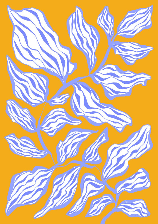 Bold Morning Glory Botanical