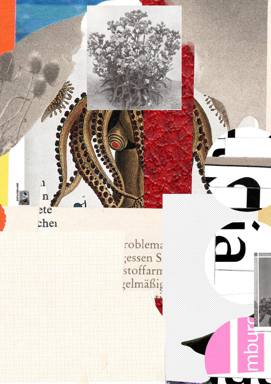 another daydream night flow · in the eye of the octopuss *