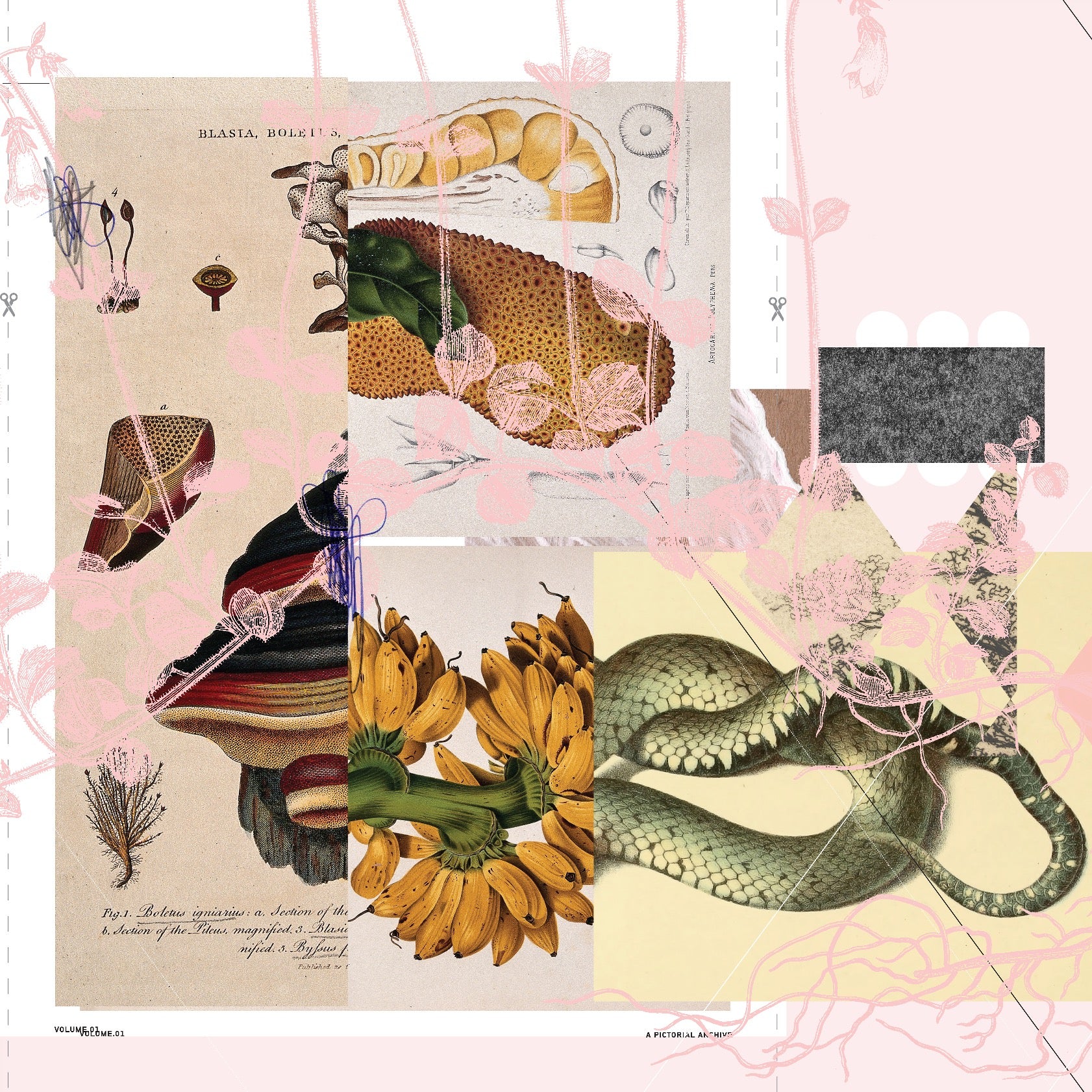 abstract white daydream flower