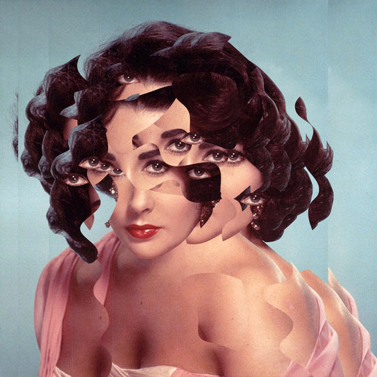 Another Portrait Disaster Liz 4 ne24