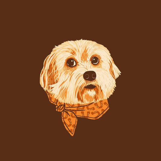 Molly The Cowgirl Pup