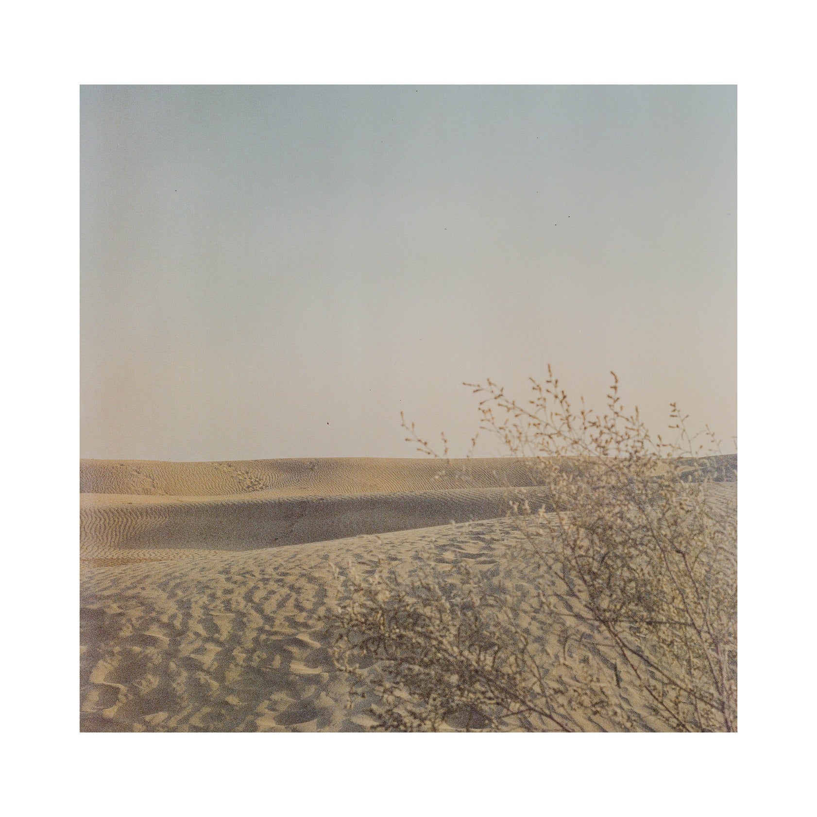 Jailsamer desert in India.