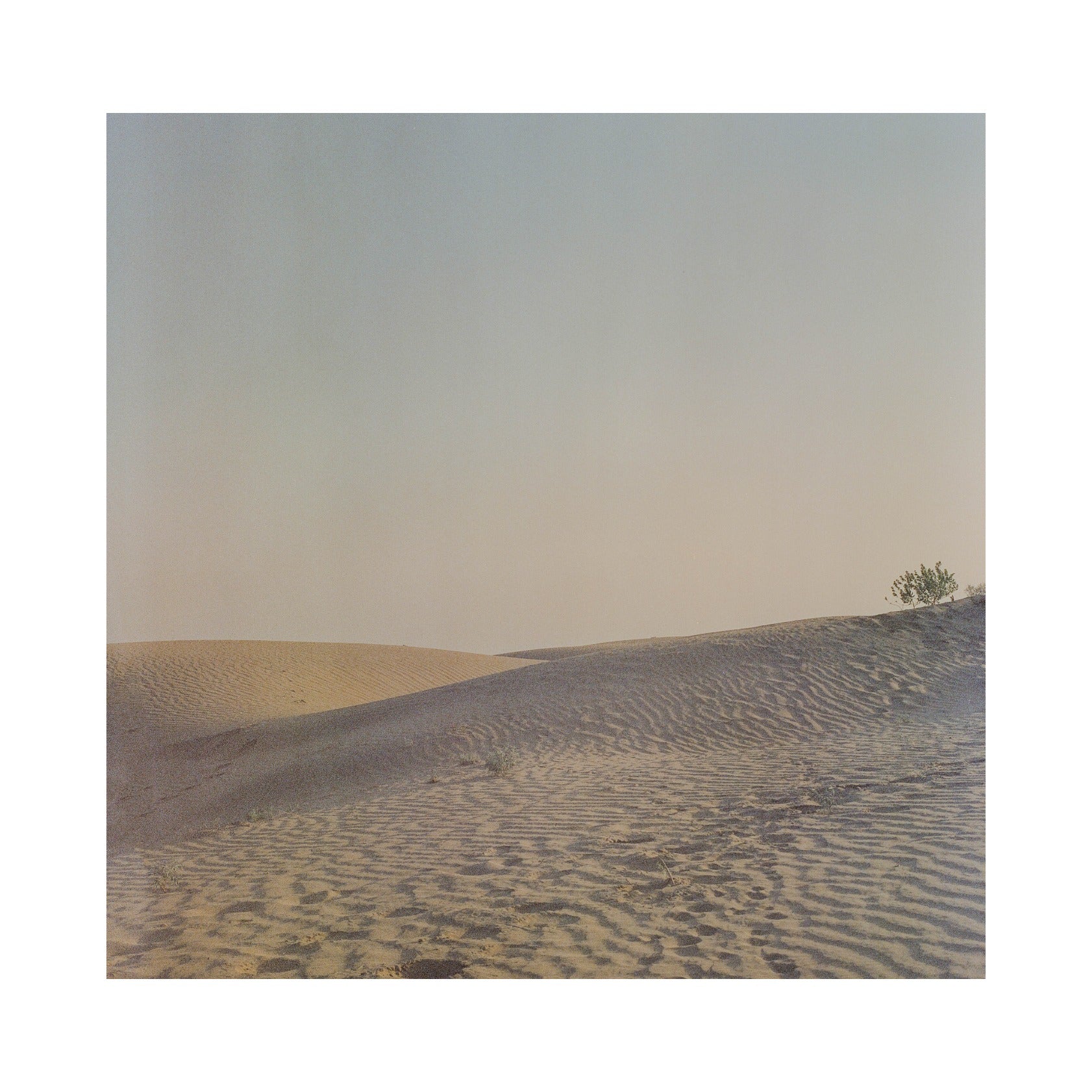 Jailsamer desert in India.