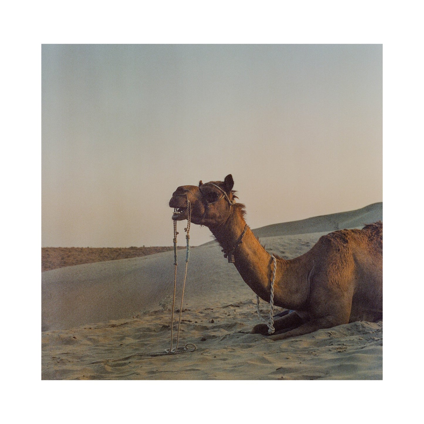 Jailsamer desert in India.