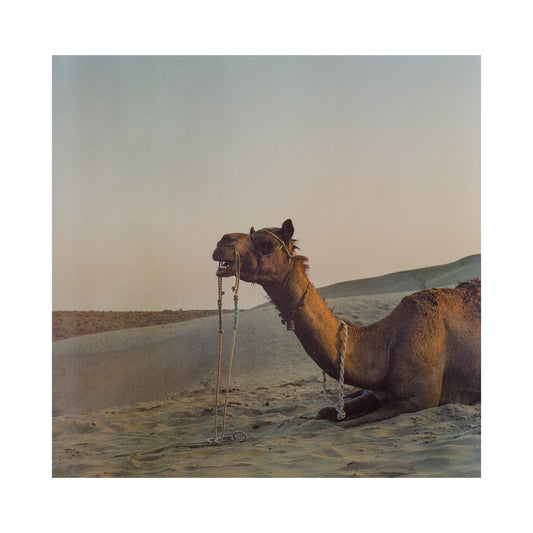 Jailsamer desert in India.