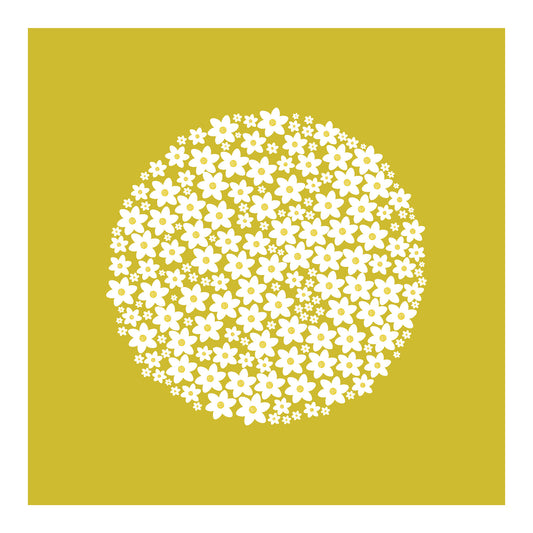 White Daisies (on yellow)