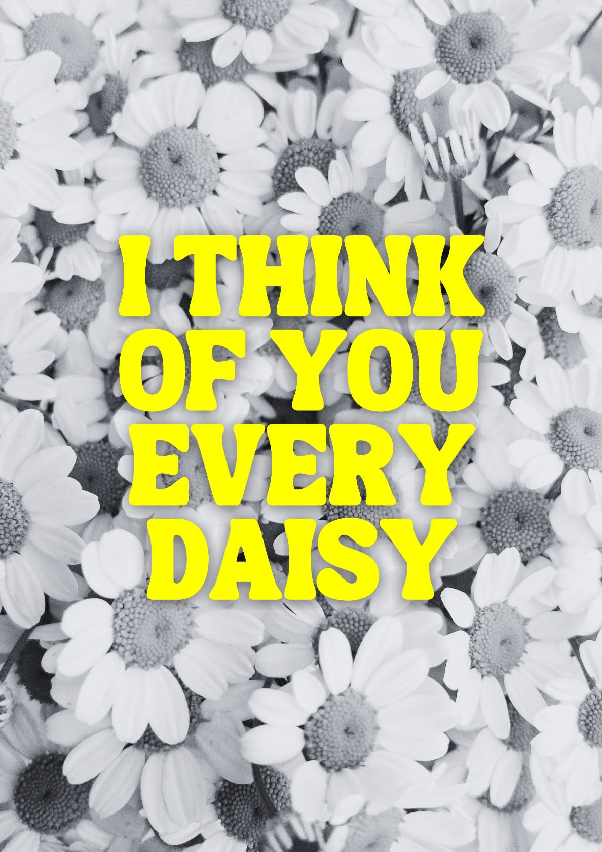 I think of you every daisy