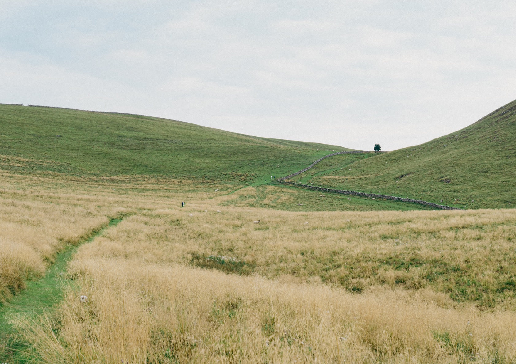 Walking Through The Peaks