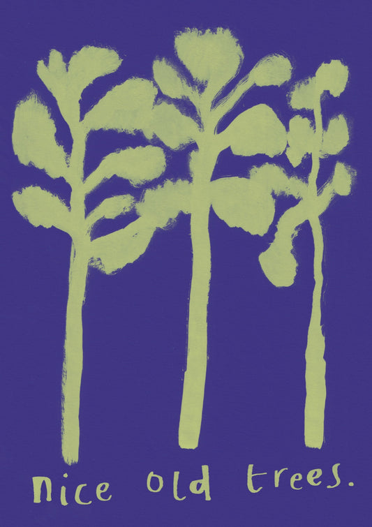 nice old trees