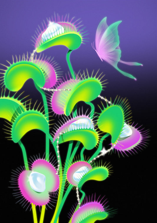 Venus Flytrap