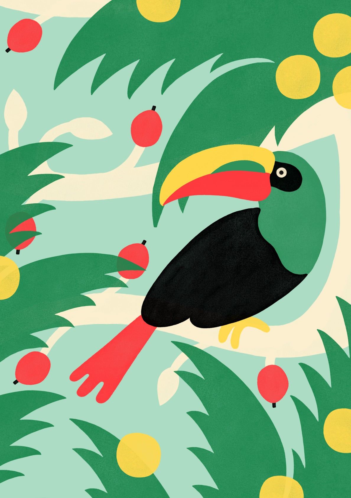 Toucan Toucan