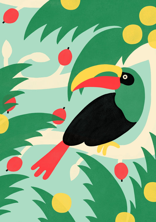 Toucan Toucan