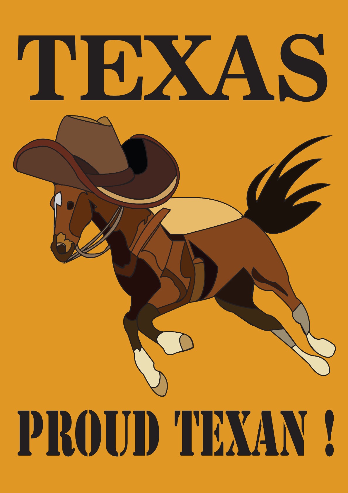 Cowboy Hat Horse Proud Texan Texas