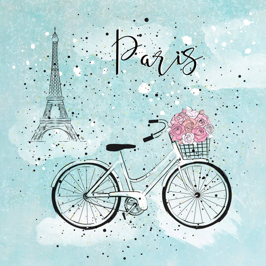 Paris Bike