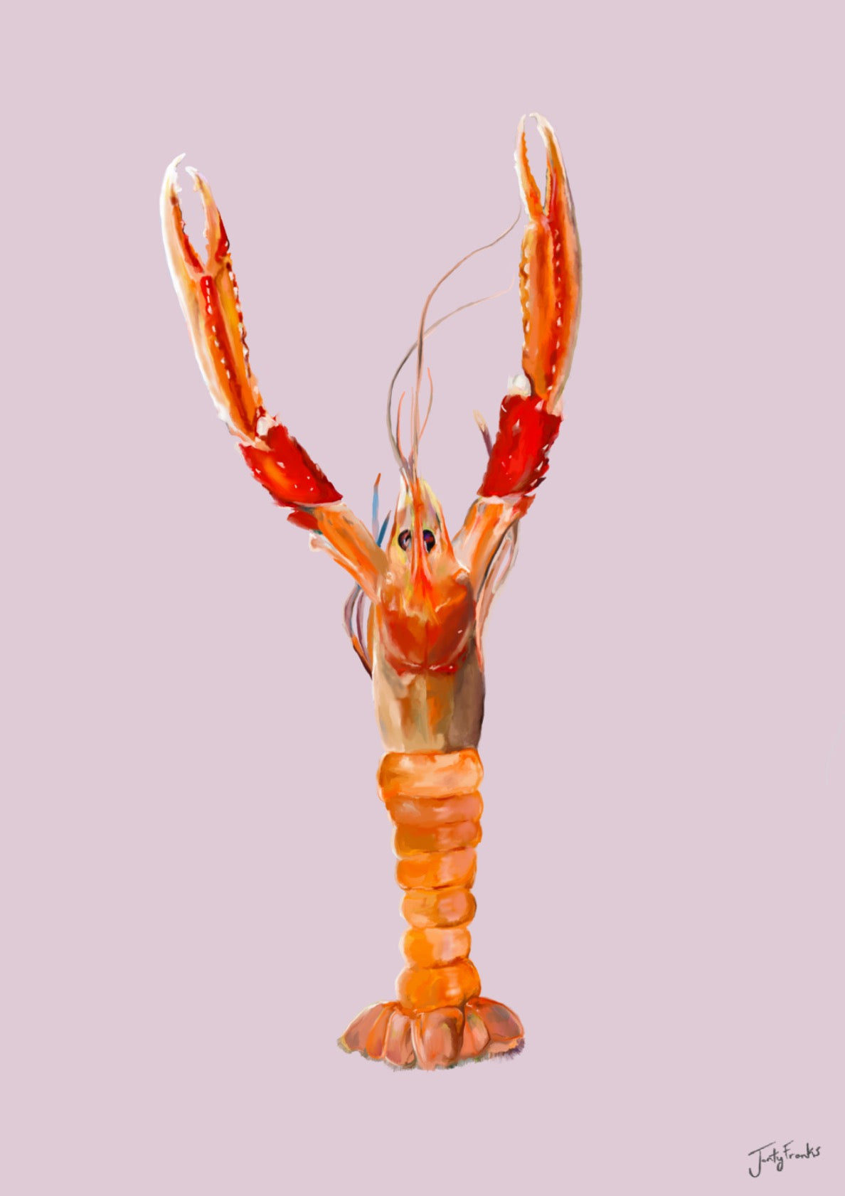 Langoustine - Pink