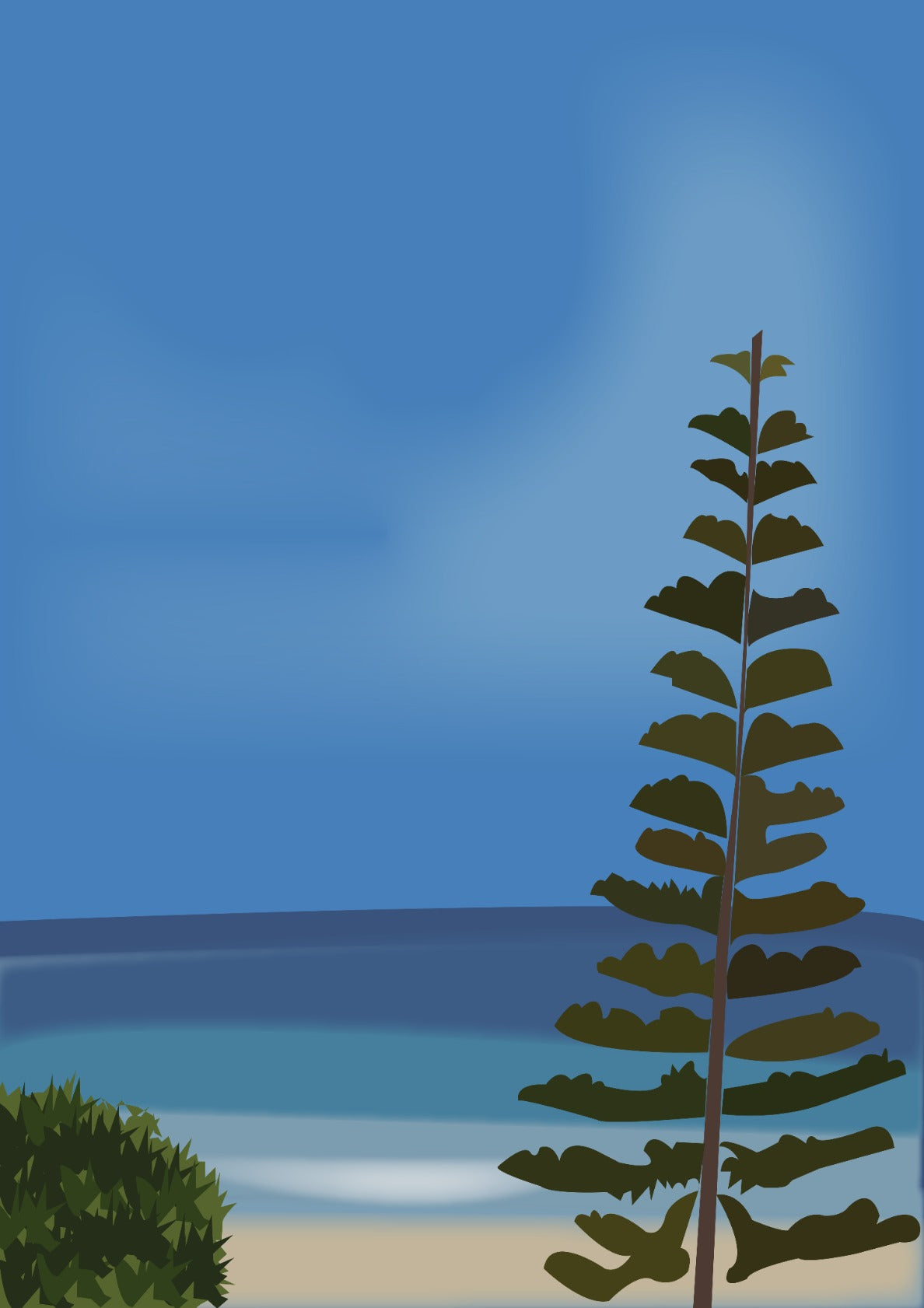 Beach Sea Pine Tree Nature Portrait