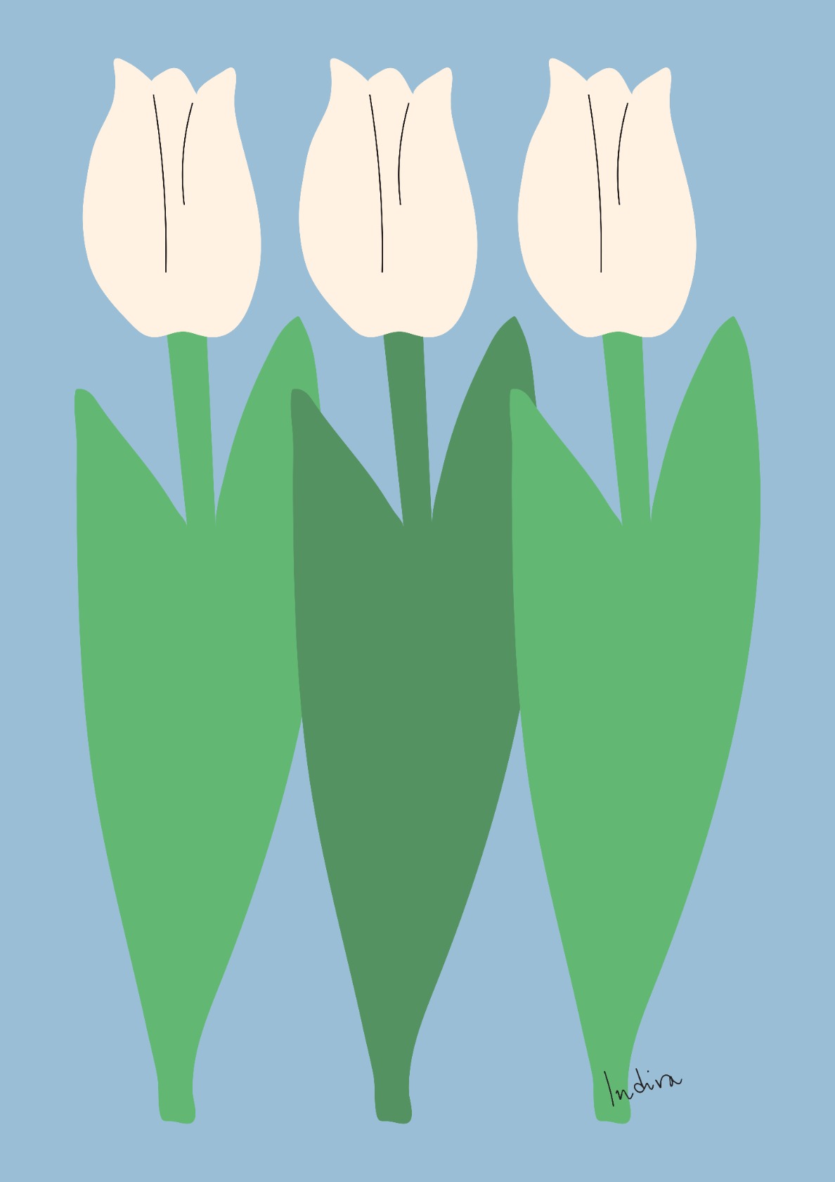 Three White Tulips