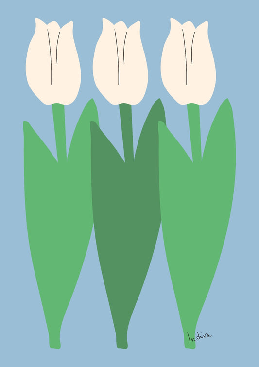 Three White Tulips