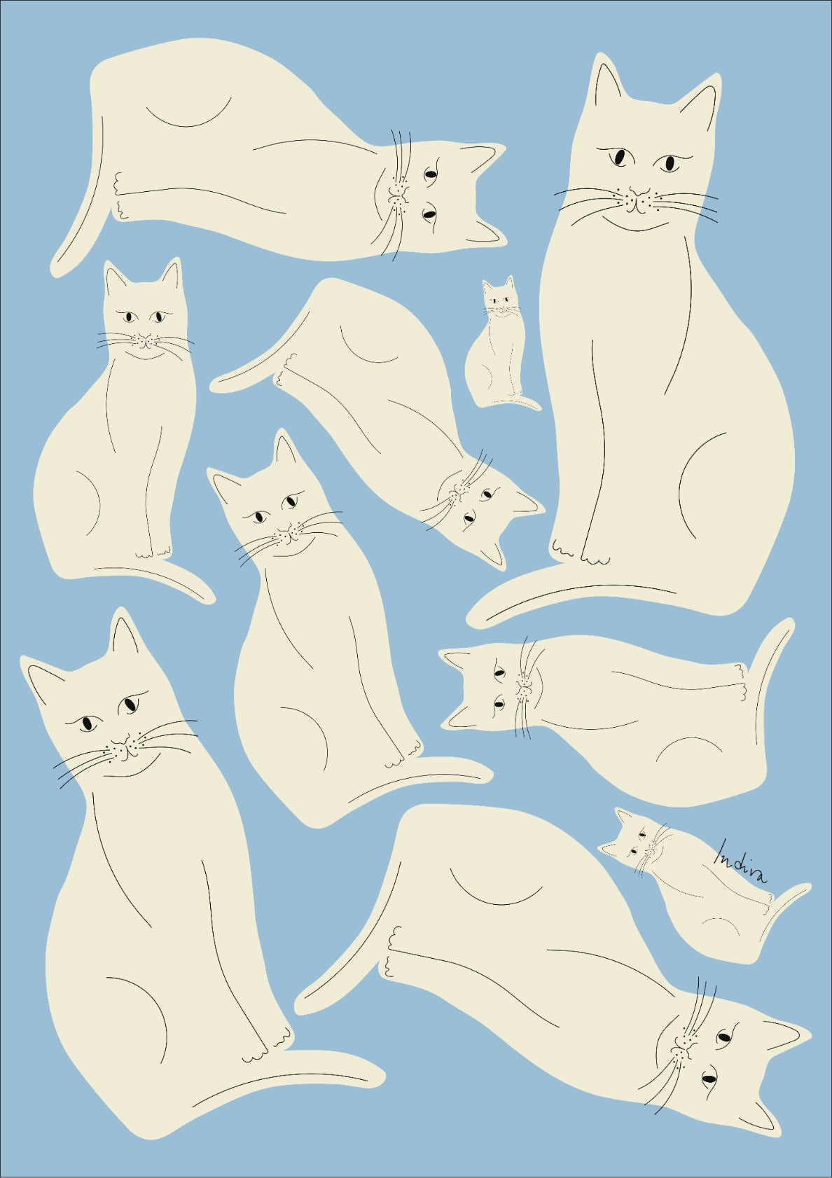 White cats