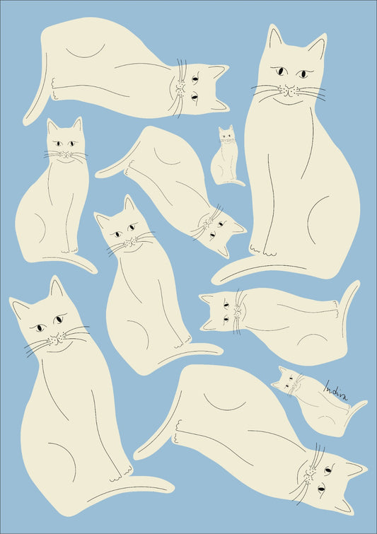 White cats