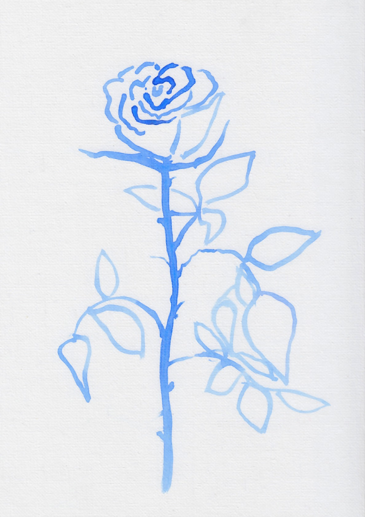 Blue Rose IV