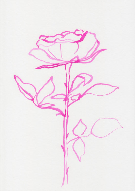 Magenta Rose II