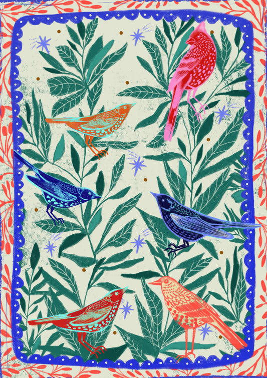 Colourful birds