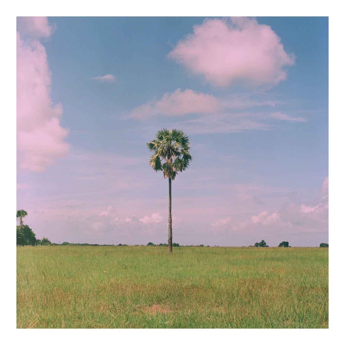 Sumba island in Indonesia