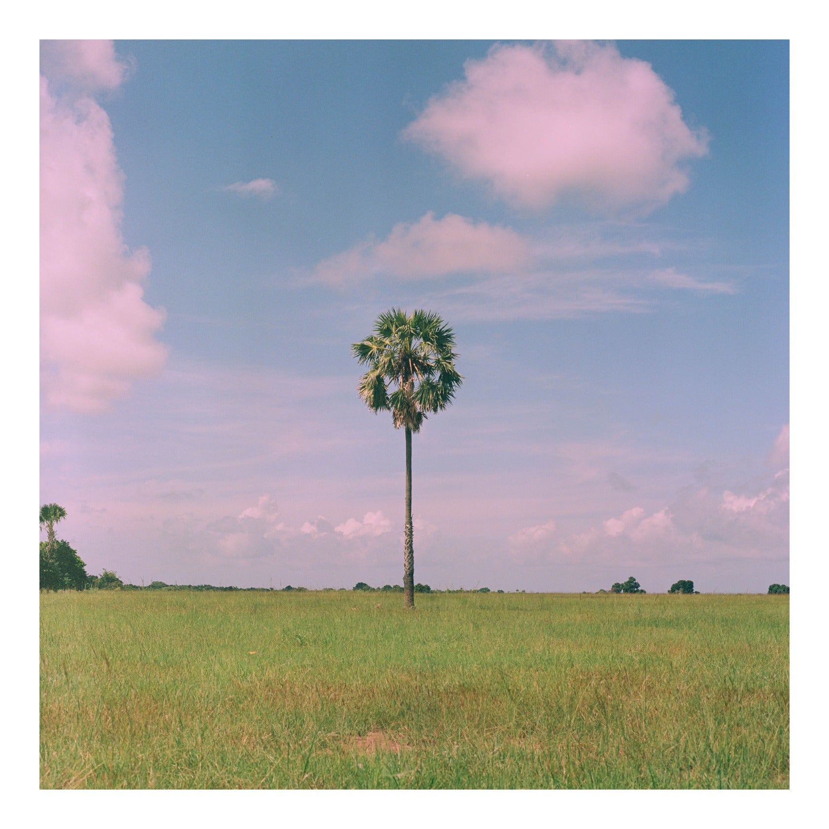 Sumba island in Indonesia