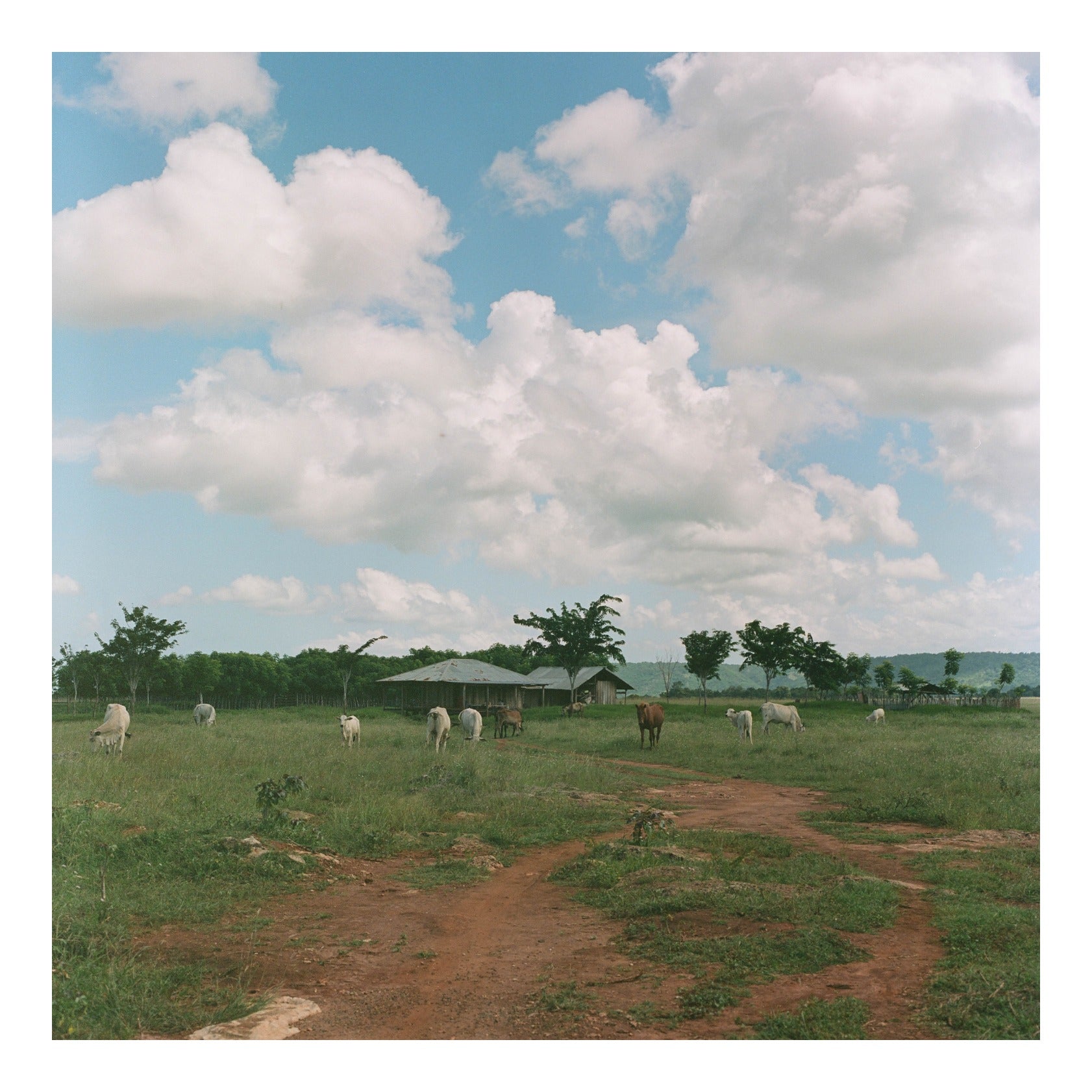 Sumba island in Indonesia