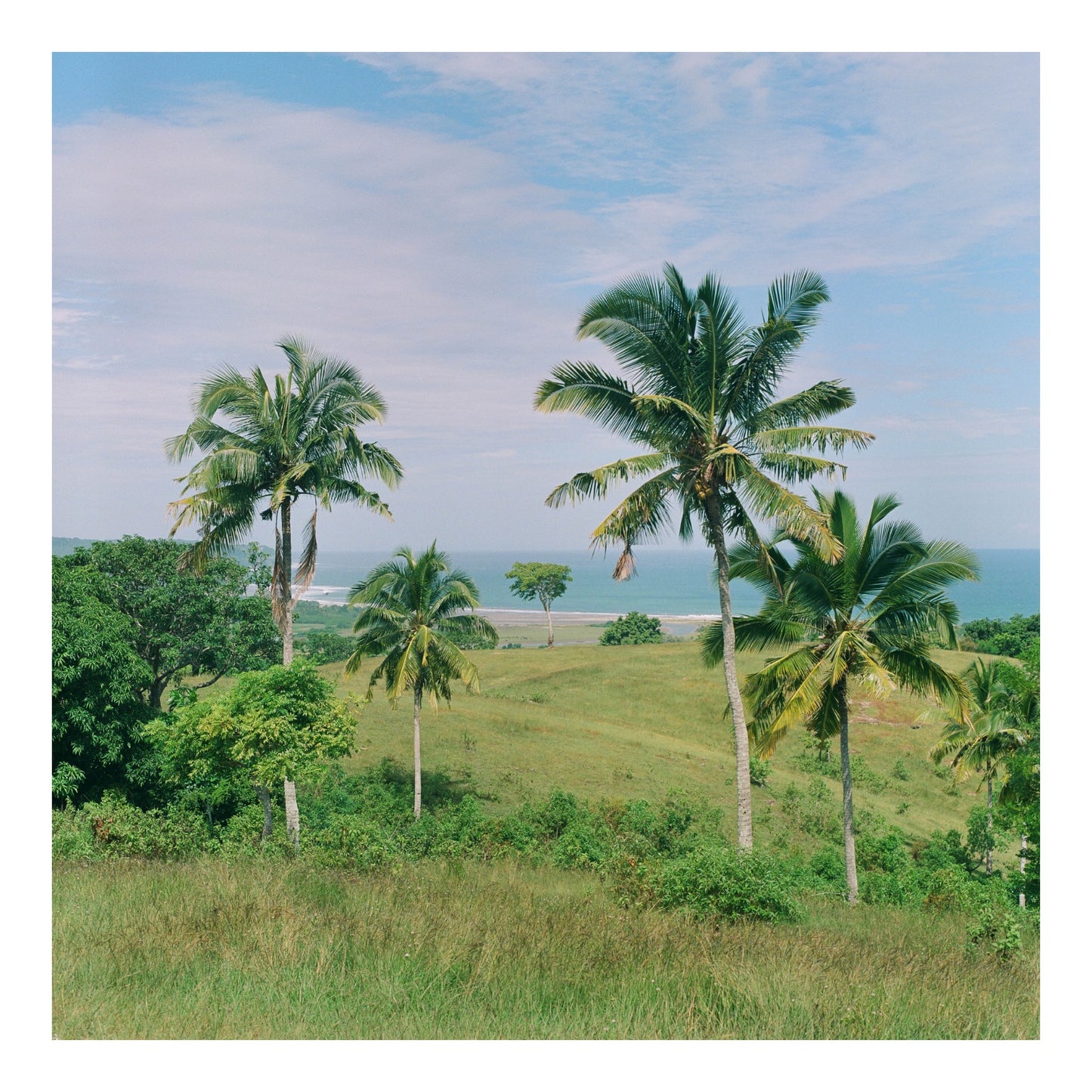 Sumba island in Indonesia