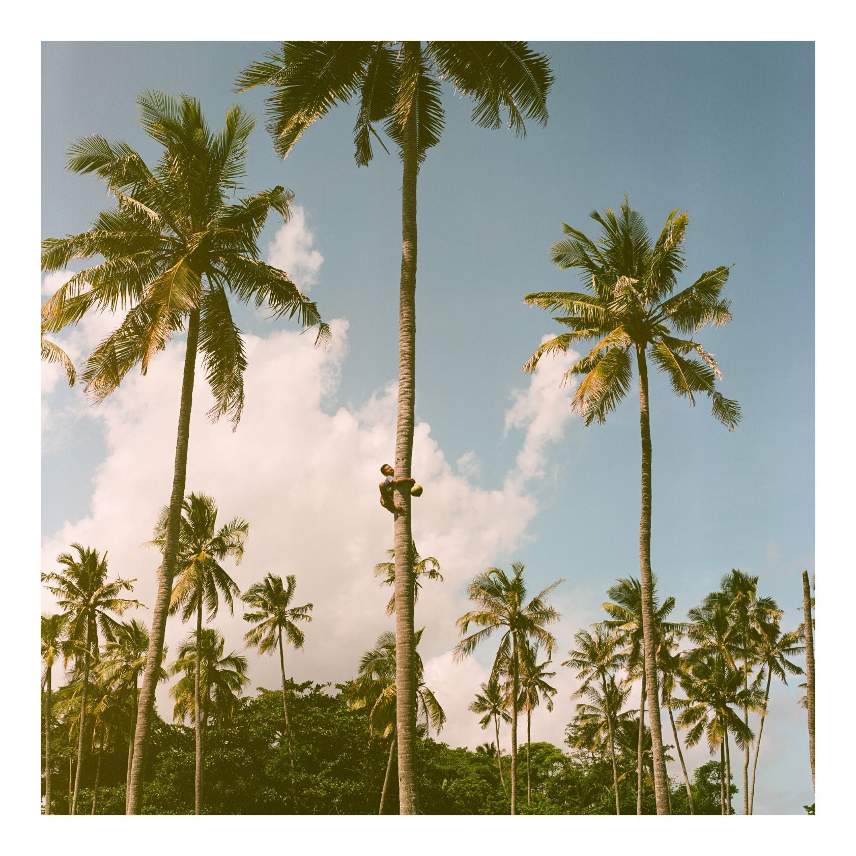 Sumba island in Indonesia