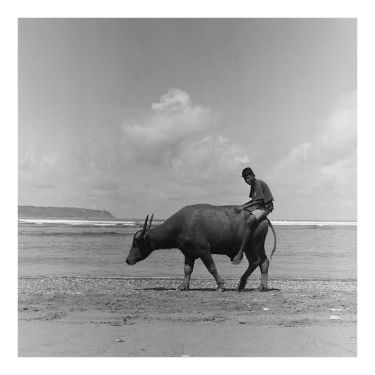 Sumba island in Indonesia