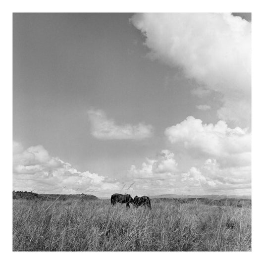 Sumba island in Indonesia