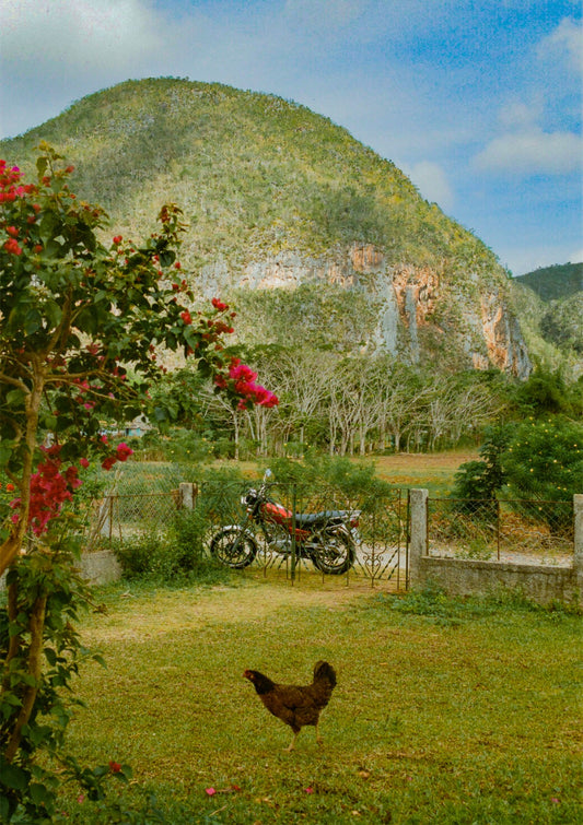 Cuba ‘Viñales’