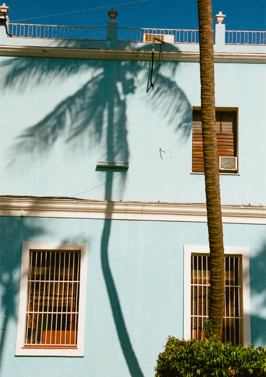 Cuba ‘Sombra de Palma’