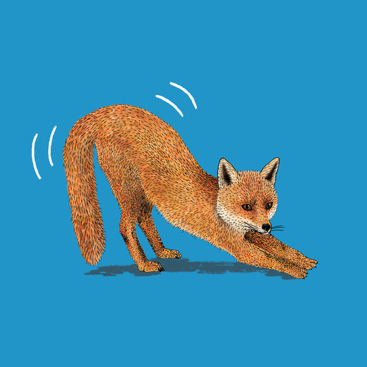 Foxy Fox