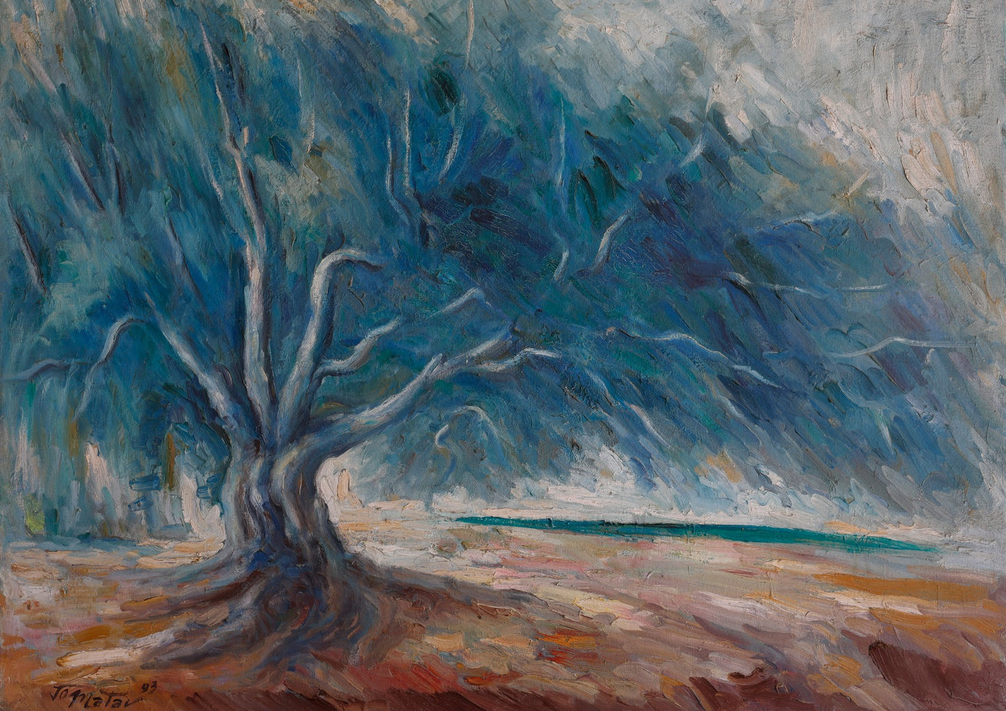 The Thousand-Year-Old Olive Tree