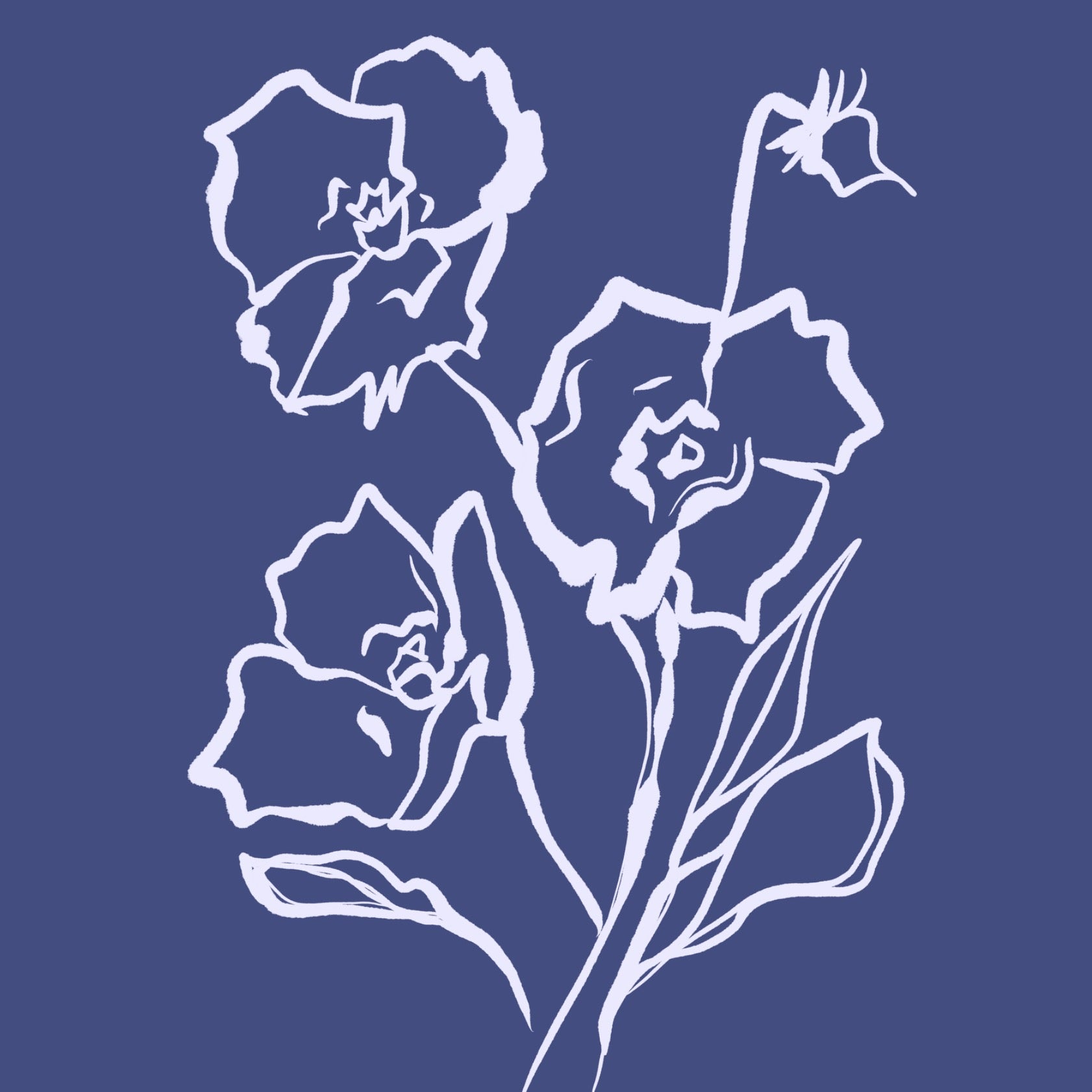 Flowers Abstract line 