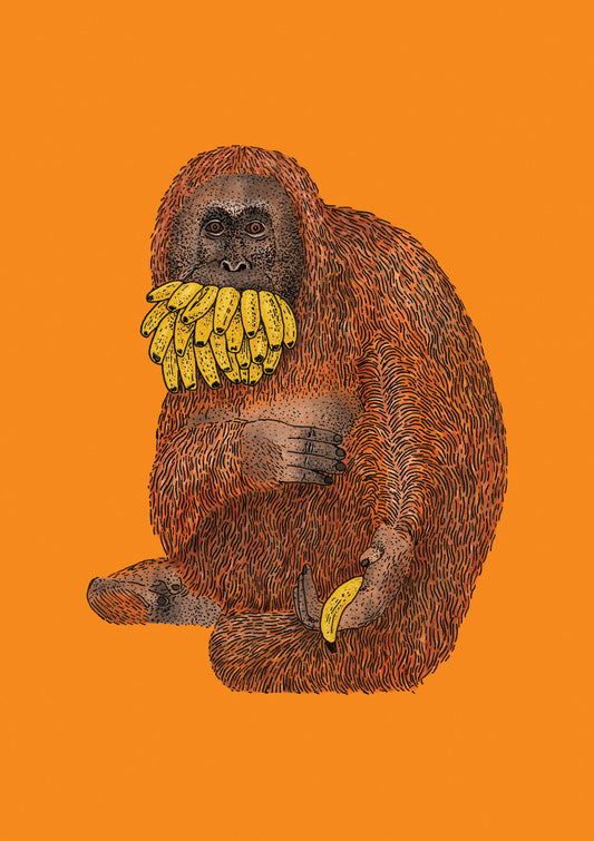 Greedy Orangutan