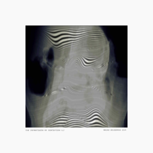 The Imprecision of Perception