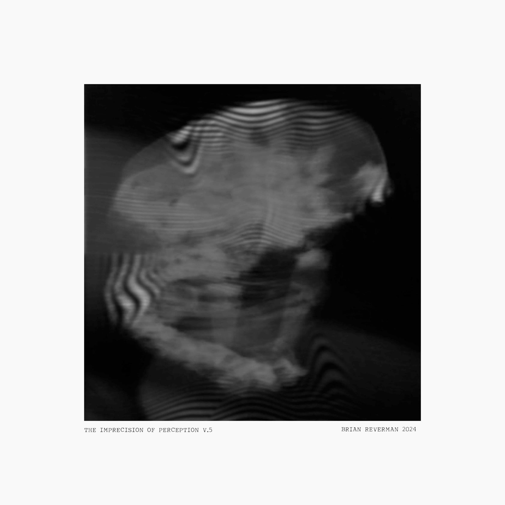 The Imprecision of Perception v.5