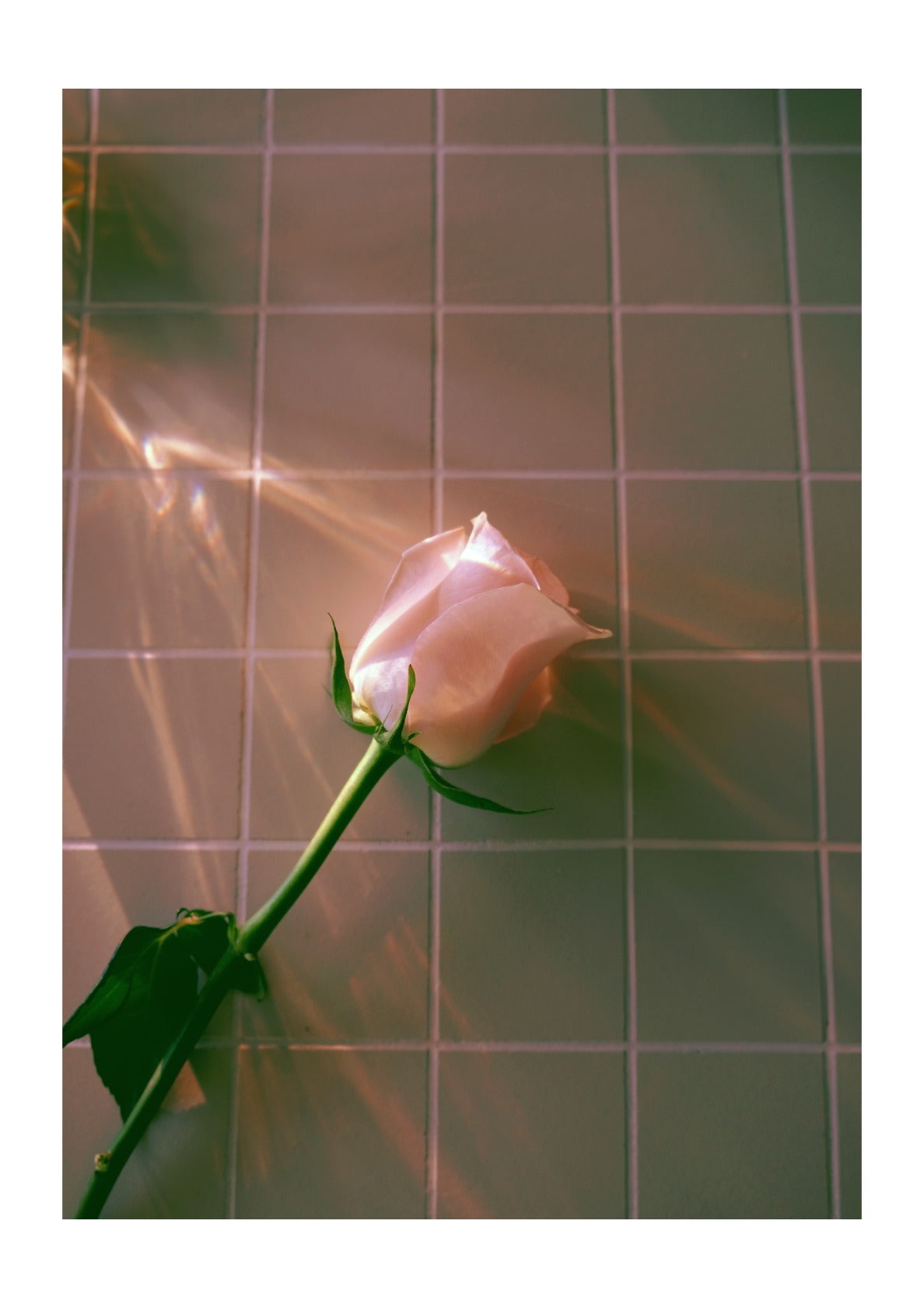 We Kissed to Pass the Time