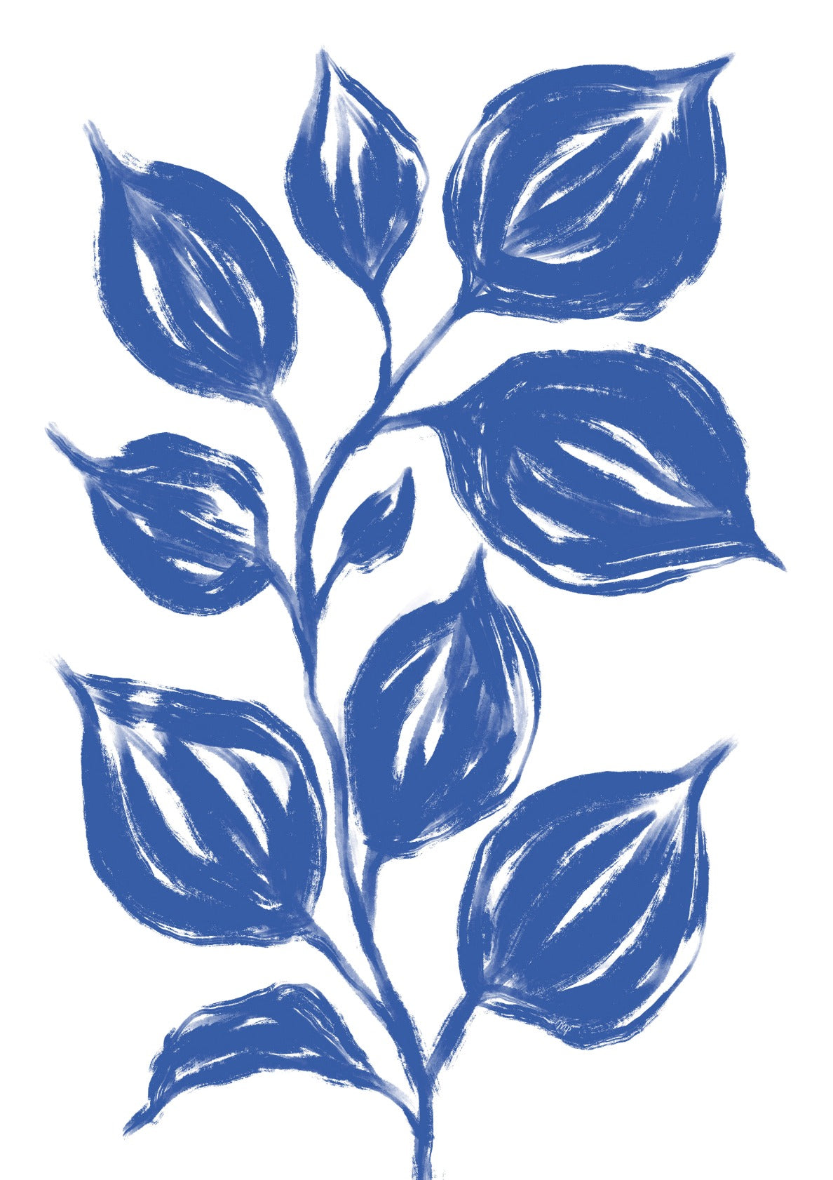 Blue Leaf Plant